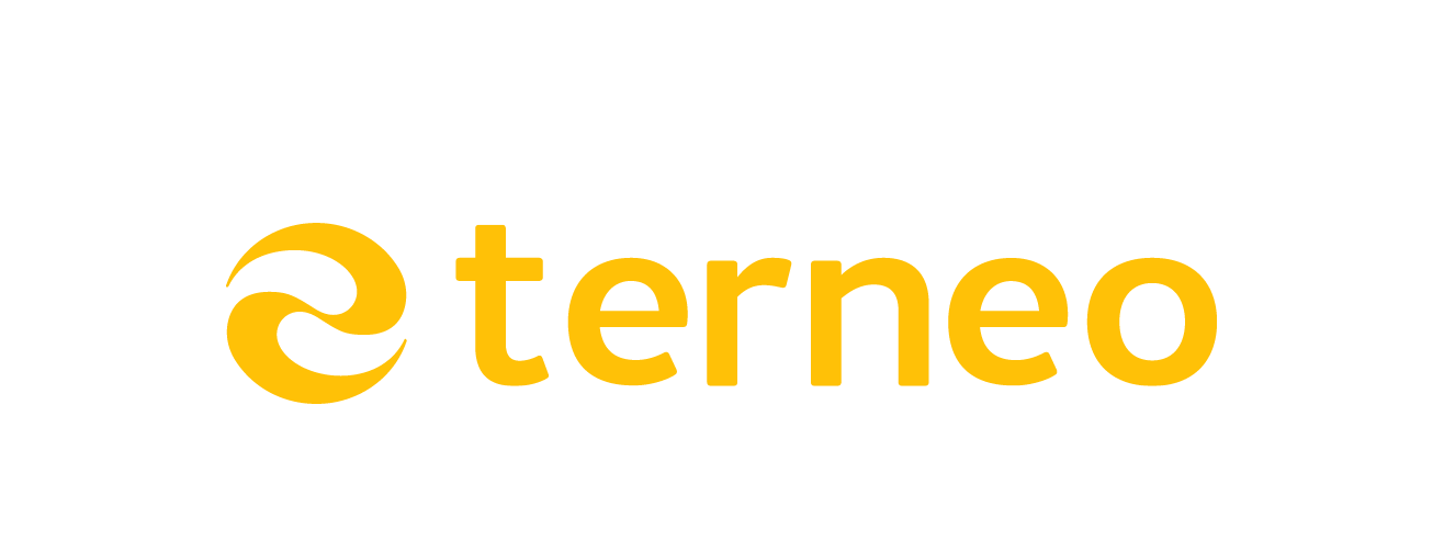 terneo st